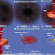 Illustration for article titled New Views Of The Early Universe Shed Light On Mysteries of Star Birth